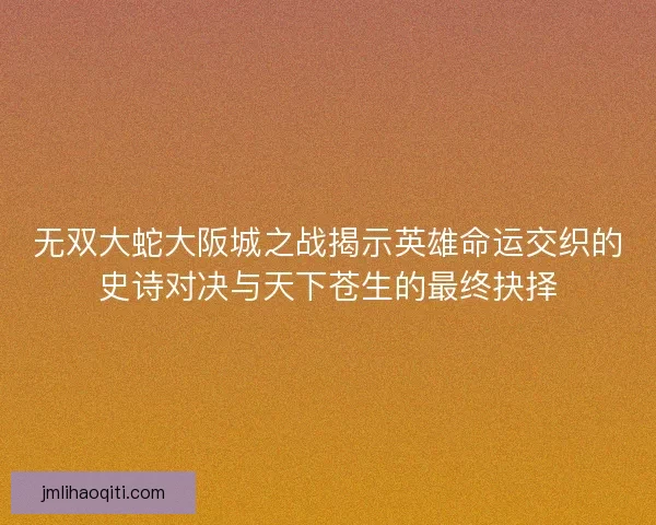 无双大蛇大阪城之战揭示英雄命运交织的史诗对决与天下苍生的最终抉择